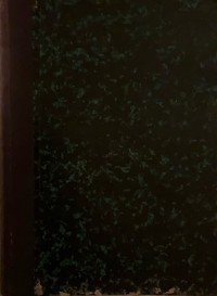 Image of Aus dem Lachenden Wien : Spiegelbilder